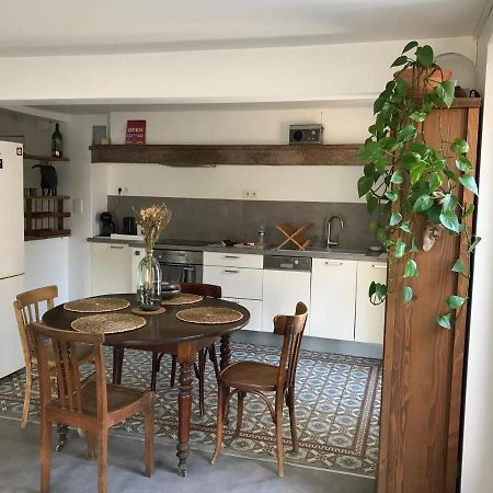 Appartement Climatise Avec Terrasse Каркассон Экстерьер фото